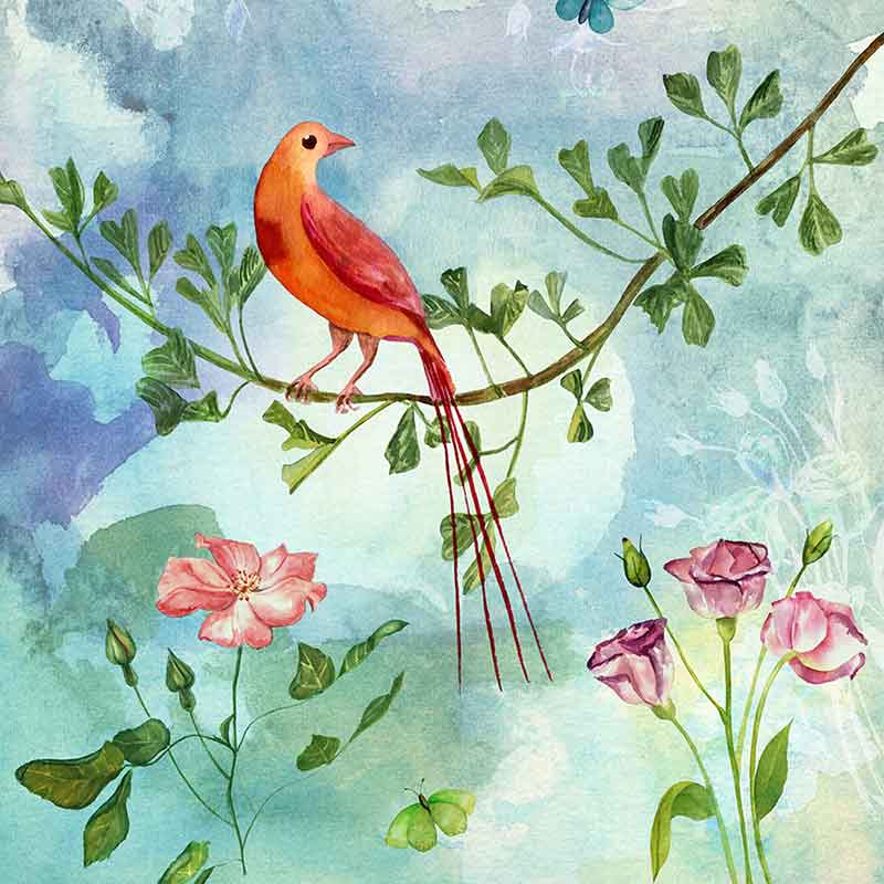 مجموعه تصاویر نقاشی گل و پرنده